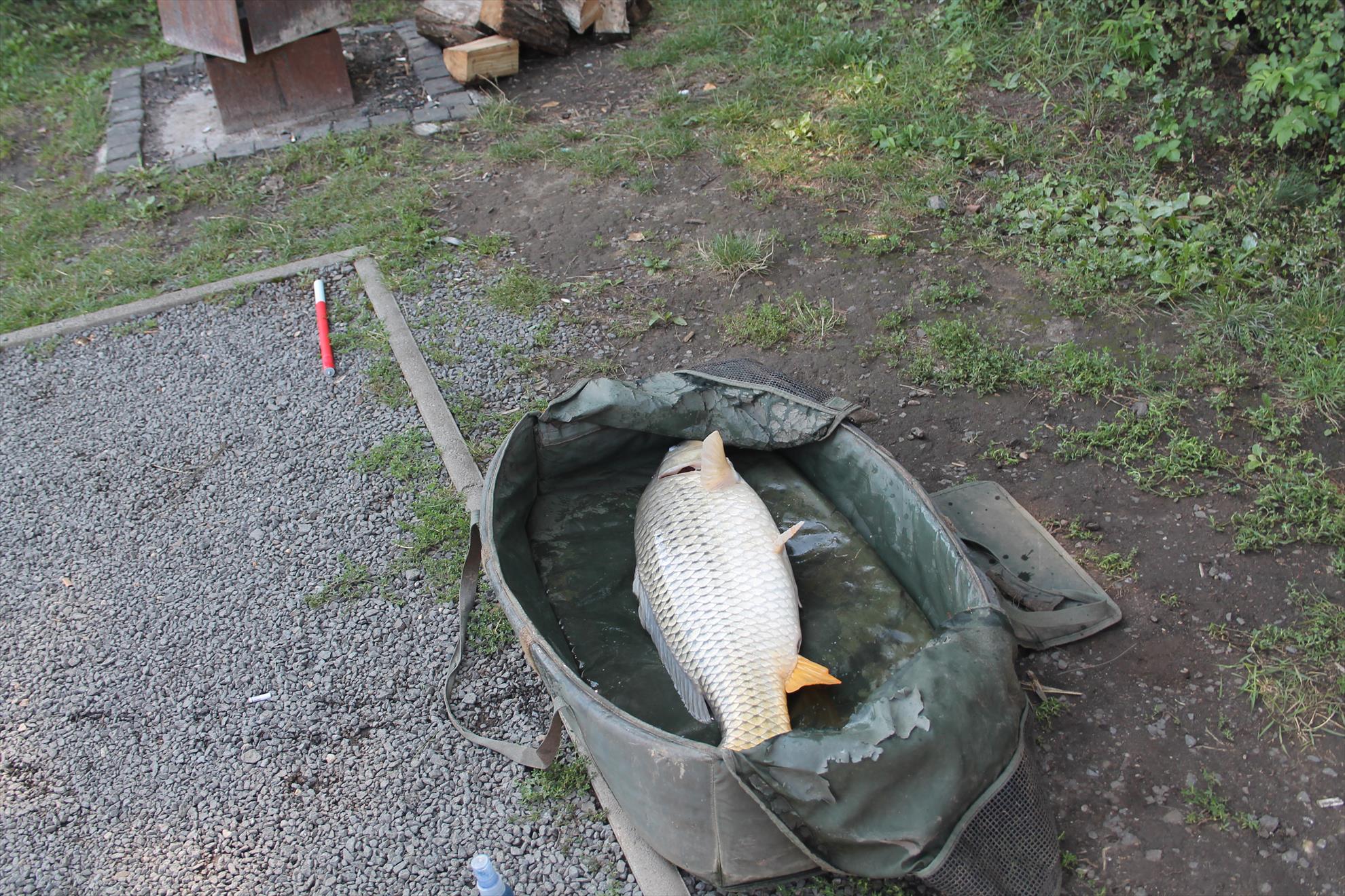 Nagykallo 28aug-01sep 2013 - nagykallo-2014-193.JPG